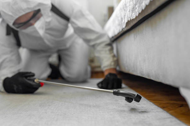 Professional Termite Control technician working in Skiatook, OK