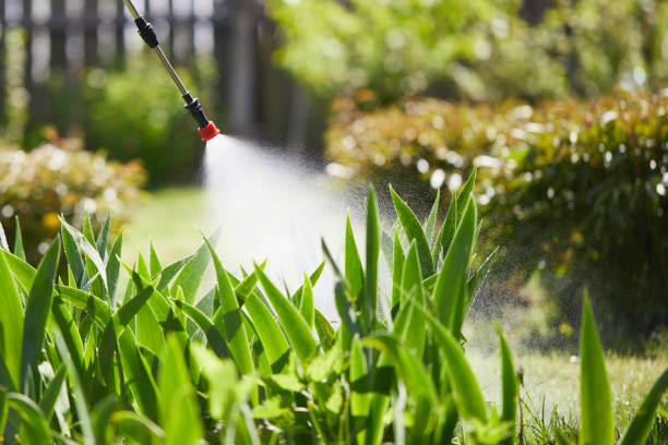 24/7 Emergency Termite Control experts in Skiatook, OK